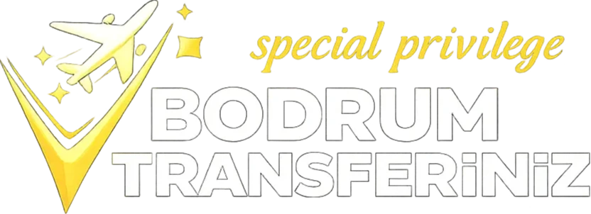 Footer Logo